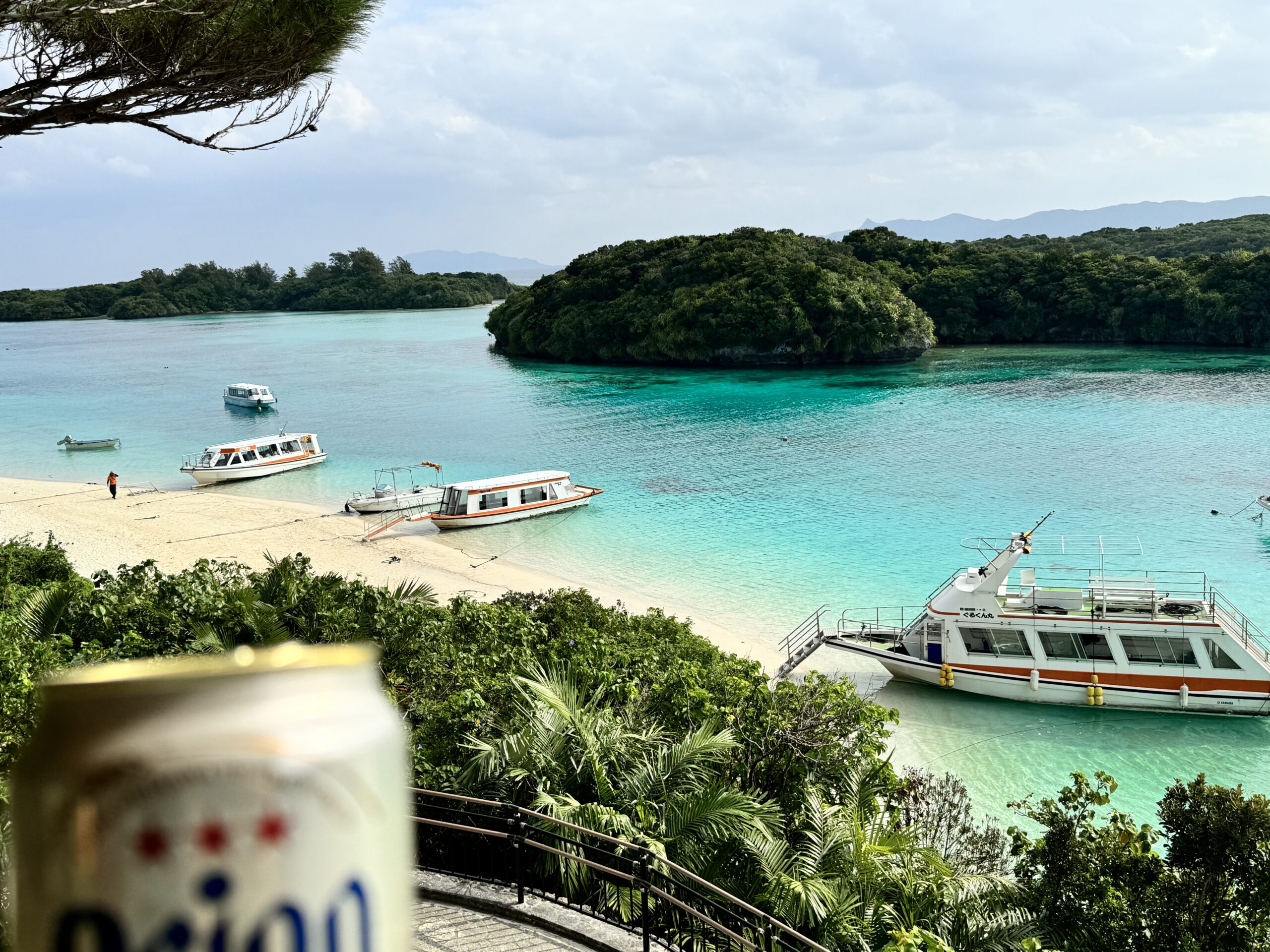 八重山諸島の魅力へのプロローグ